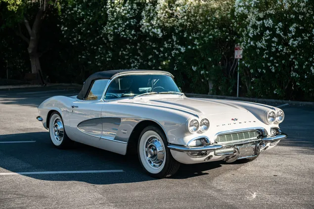 1961 年雪佛兰克尔维特 C1 283ci V8 2K 壁纸