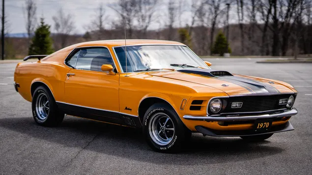 1970 Ford Mustang Mach 1 03 unduhan
