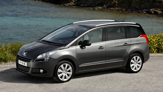 2009 pujo 5008 01 daunrodeu