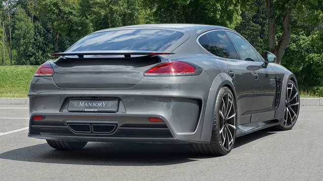 2014 Porsche Panamera door Mansory 02 download