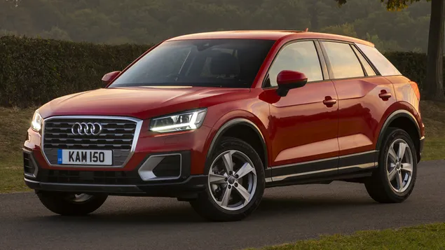 2016 Audi Q2 TFSI 10 aflaai
