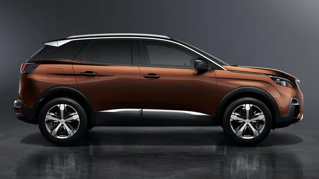 peugeot 3008 04 r.v. 2016 stahnout