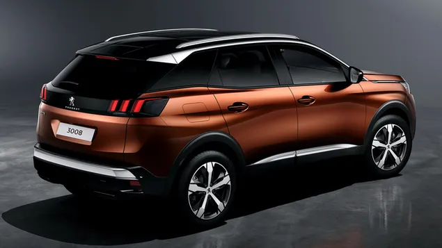 peugeot 3008 05 r.v. 2016 stahnout