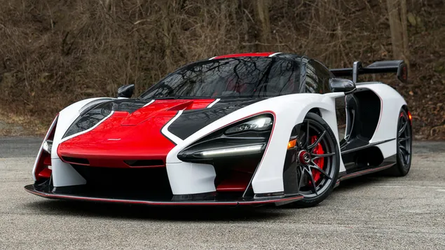 tema sampiona mclaren senna 2018 od mso 01 stahnout