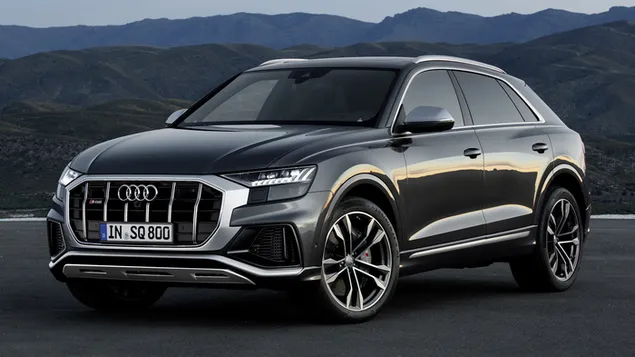 2019 Audi SQ8 04 aflaai