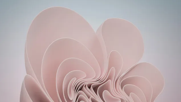 (2021) Peachy Ribbon Flower - Windows 11 Background