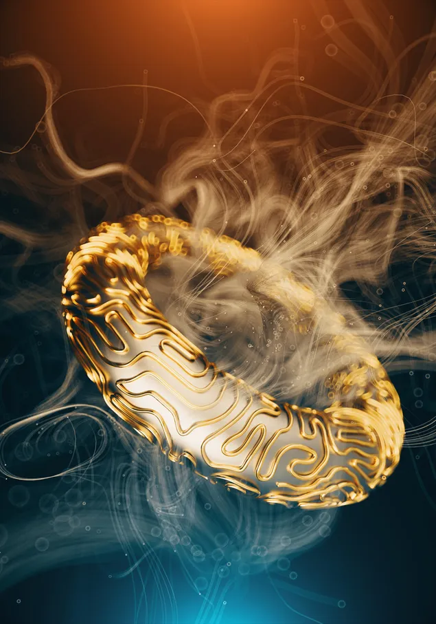 3D Gouden ring