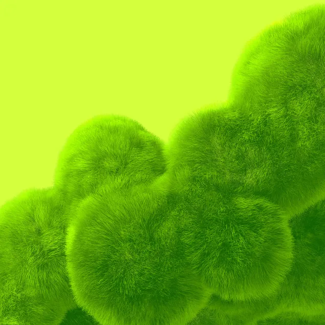 pell verd 3d baixada