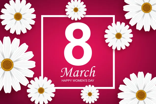 8. März glückliche Frauen Schriftzug in weißem Rahmen mit weißen Gänseblümchen an den Rändern, rosa Hintergrund herunterladen