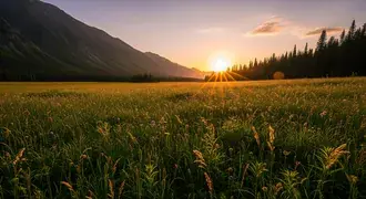 a breathtaking sunrise illuminates a peaceful green meadow with wildflowers, set against dramatic mountain slopes and a line of dark pines. download