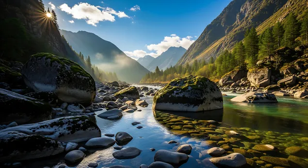 日出时分，清澈的山涧溪流蜿蜒流淌在岩石嶙峋的山谷中，四周环绕着茂密的松林和雄伟的山峰，景色令人叹为观止。 8K 壁纸