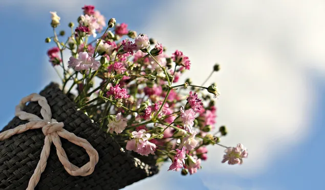 Ein Haufen hübscher rosa Gypsophila-Blumen in einem Korb