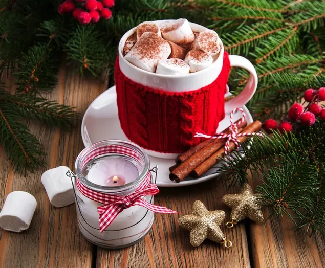 A cup of yummy Hot Chocolate with Marshmallow during the holidays 