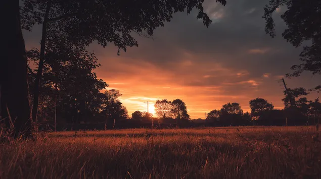 muat turun matahari terbenam luar bandar yang dramatik di atas padang berumput