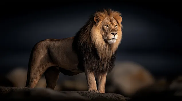 ena arseniko liontari steketai se enan brakho koitazontas ten apostase lepse