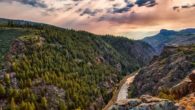 Una montaña de árboles 4K fondo de pantalla