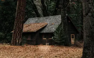 Rumah alami di hutan 4K wallpaper