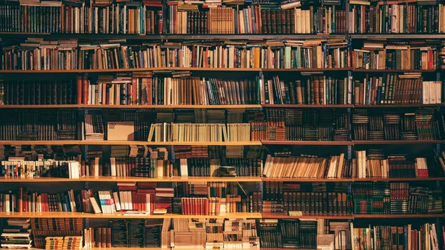 Perpustakaan yang damai dengan berbagai buku di rak