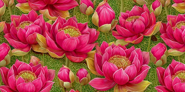 toistuva kuvio eloisista lootuskukista ja -nuppuista lataa