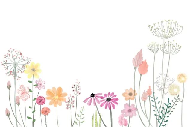 A row of different beautiful flowers illustrations 