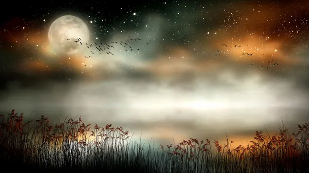 ฉากกลางคืนอันเงียบสงบพร้อมพระจันทร์เต็มดวงที่สะท้อนลงบนทะเลสาบอันเงียบสงบ 2K วอลเปเปอร์