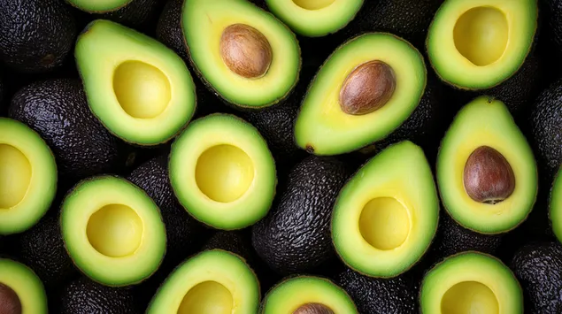 tongjjaero igeun abokadowa baneuro jalrin abokadoyi insangjeogin obeohedeu syas daunrodeu