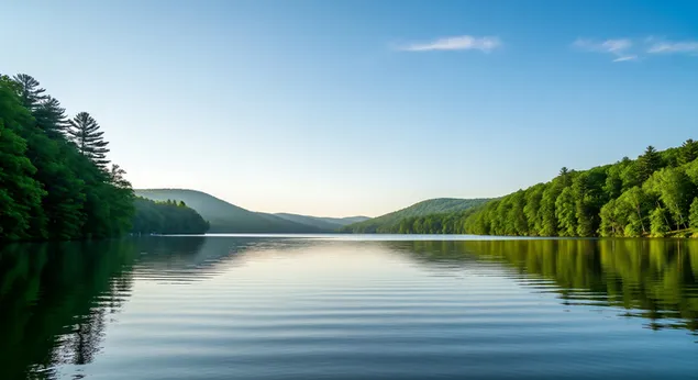 碧空如洗，碧波荡漾，倒映着郁郁葱葱的森林和绵延起伏的山丘，构成了一幅宁静祥和、令人心旷神怡的自然美景。 8K 壁纸