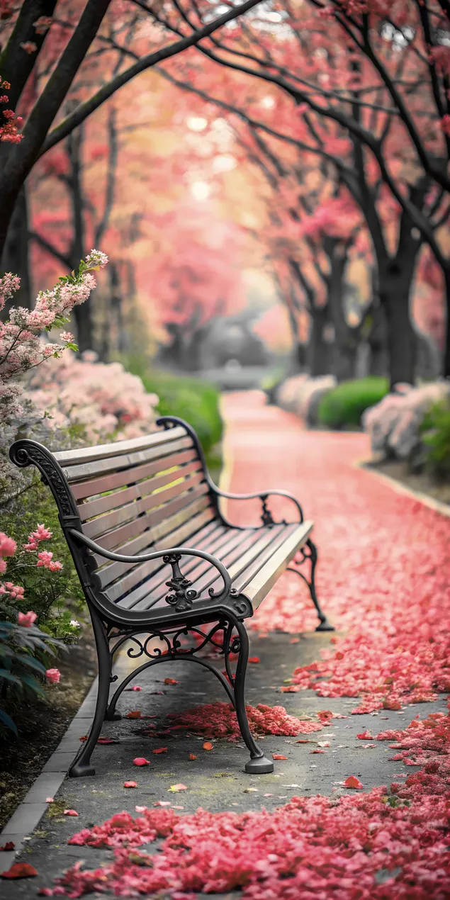 a tranquil park scene with a bench and a path of pink cherry blossoms download