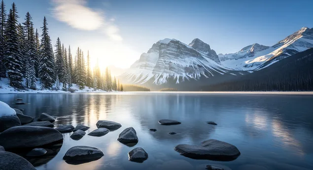 日出时分，宁静的雪湖倒映着阳光照耀下的松树和雄伟的群山，柔和的金光照亮了冬日的静谧。 8K 壁纸