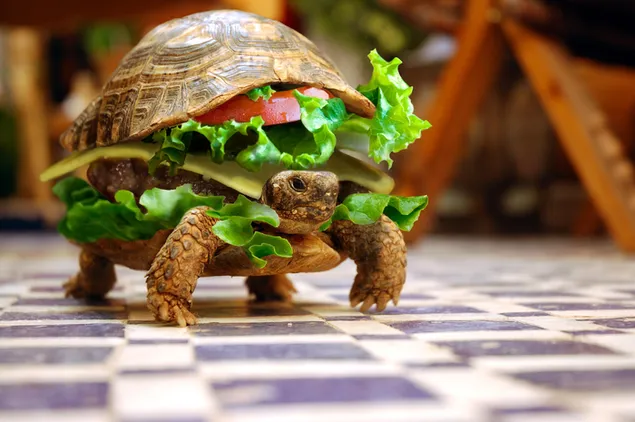 A turtle that looks like a hamburger with tomatoes, lettuce and cheddar cheese on its back