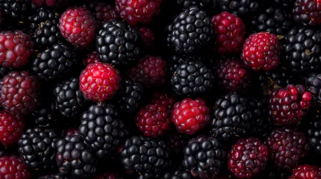 Tapeta Živý, detailný záber čerstvých černíc a červených malín 2K