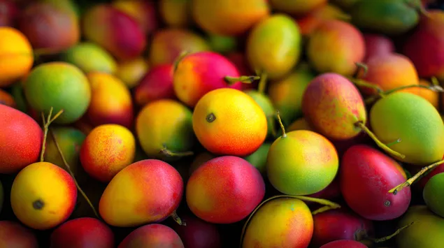 O vedere vibrantă, în prim-plan, a unei grămezi de mango coapte în diferite nuanțe de roșu 2K imagine de fundal