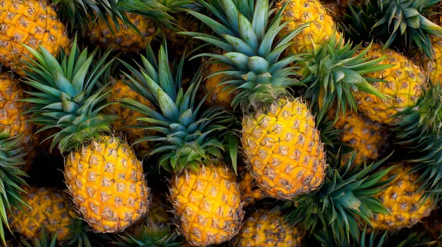 Tapeta Zářivý, detailní pohled na četné zlatožluté ananasy 2K