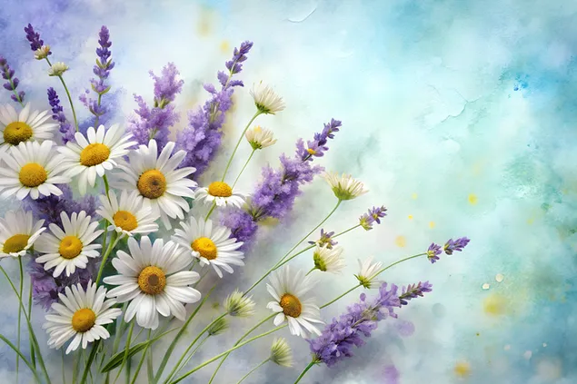 Hafif sulu boya geçişi üzerine elle çizilmiş lavanta ve papatya çiçeklerinin tuhaf bir düzenlemesi 4K duvar kağıdı