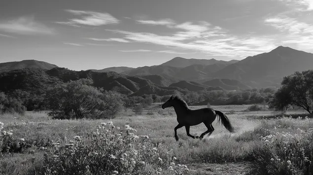 svs pr dvhr bnvp hrry tsyvry hvrd