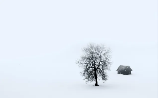 Una casa de madera y un árbol en el campo cubierto de nieve. 2K fondo de pantalla