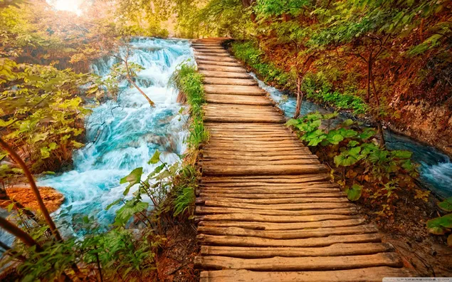 Ein Holzweg mit Herbstlaub drumherum, der mitten durch den Fluss in den Wald führt 2K Hintergrundbild