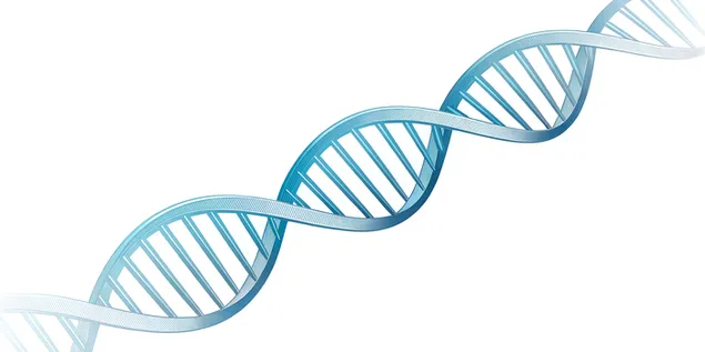 Abstrakte 3D-voorstelling van 'n blou DNA-dubbelheliksmolekulestruktuur 4K muurpapier