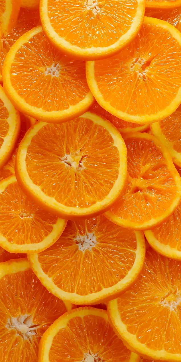 rq` mvpsht shl prvsvt pry hdr `sysyym mqrvb hvrd