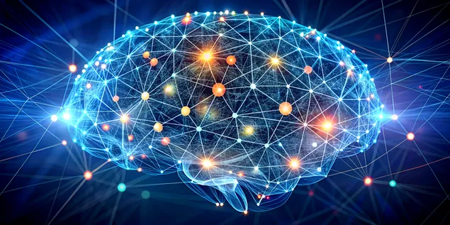 mlkhS tSmym ldmG m` l`qd lmtrbT@ lty tshbh lshbk@ lmly@ ltnzyl