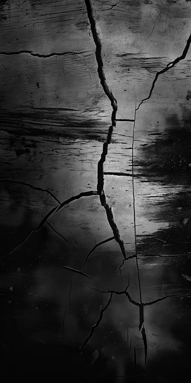 teksture siperfaqesore abstrakte me kokrriza me carje te thella dhe reflektime delikate te drites shkarkim