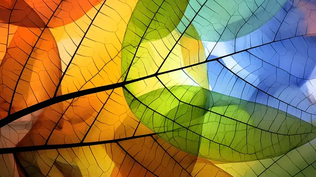 resume harmonie : le kaleidoscope de couleurs de la nature telechargement