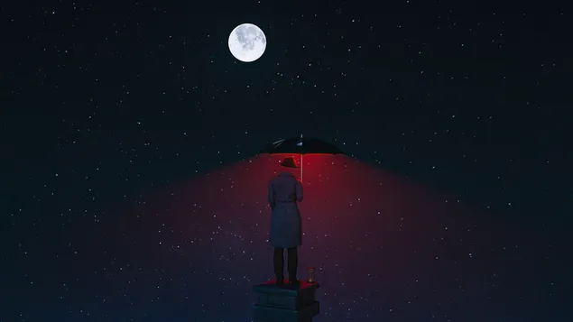 Páipéar balla Admiring an oíche moonlit le scáth4K