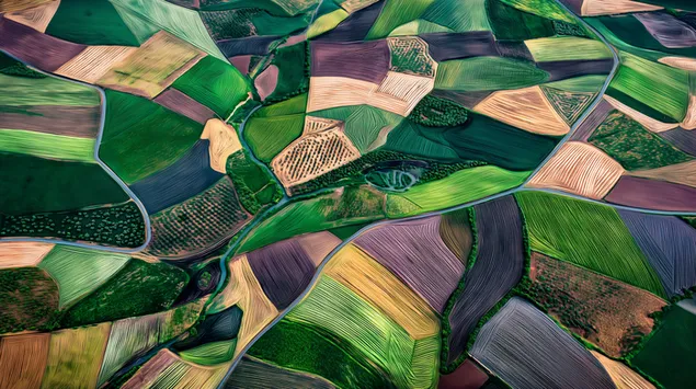 prospettiva aerea di diversi campi agricoli scarica