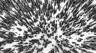 aerial view snowy forest landscape download