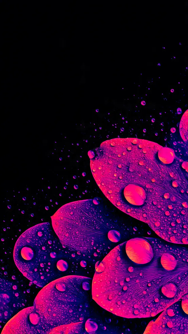 Ταπετσαρία Αισθητικό λουλούδι AMOLED 2K