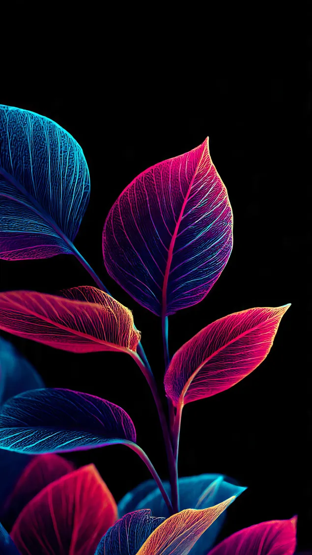 Ταπετσαρία Αισθητικό φύλλο AMOLED 2K