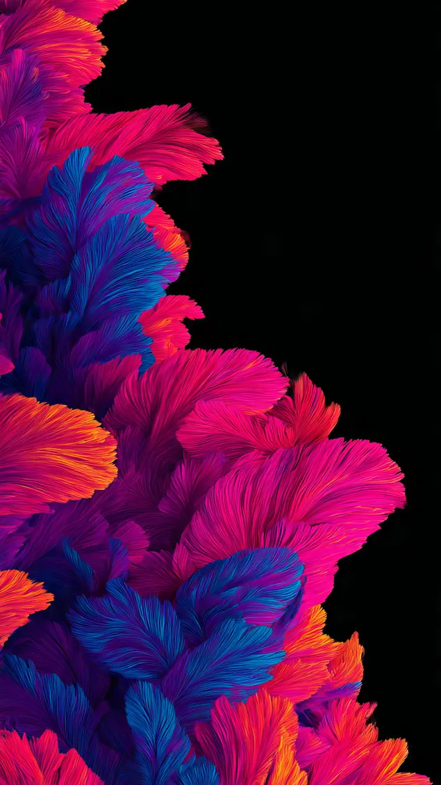 estetike amoled vibes flete 01 shkarkim