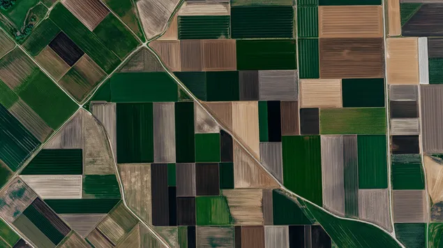 Luchtfoto van landbouwvelden in een geometrisch patroon 2K achtergrond