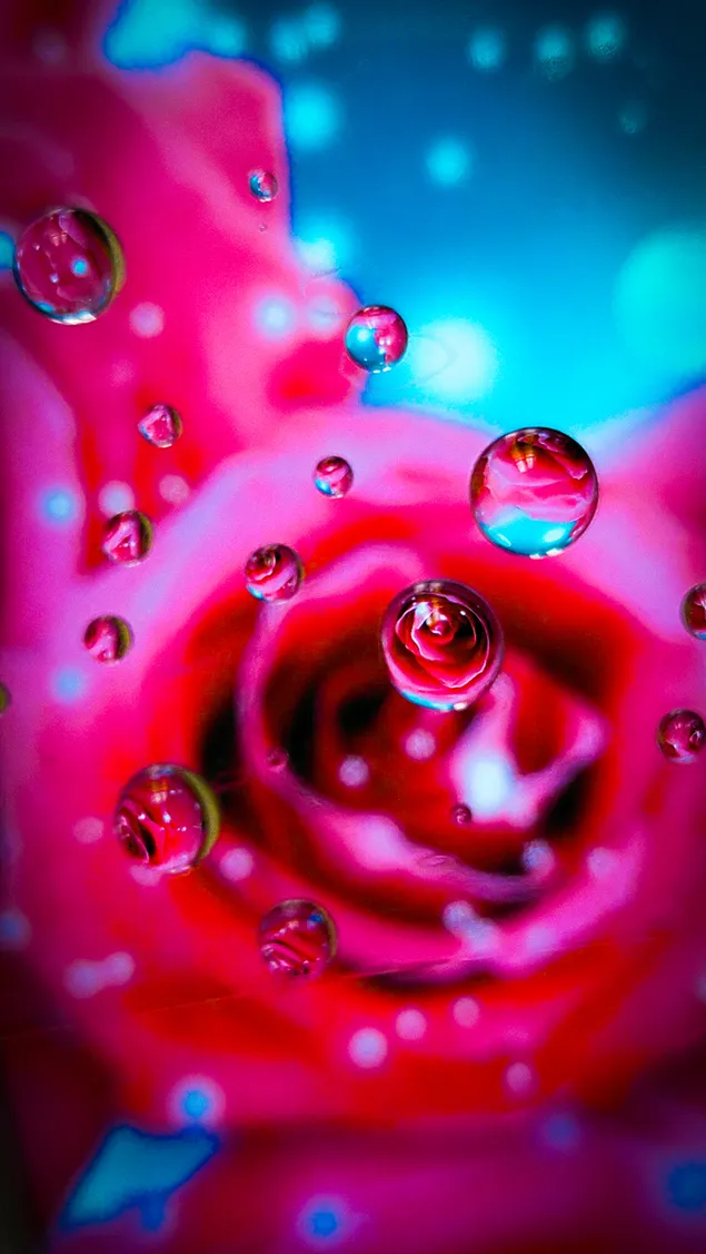 Agua de rosas